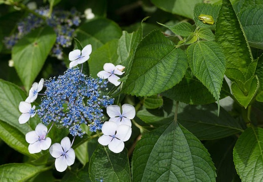 201206271231-DSC00170.jpg