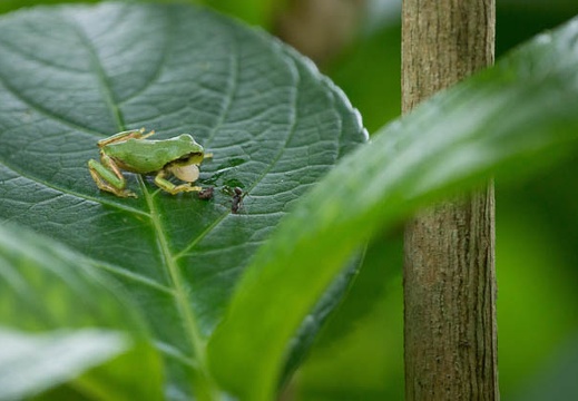 201206271257-DSC00208.jpg
