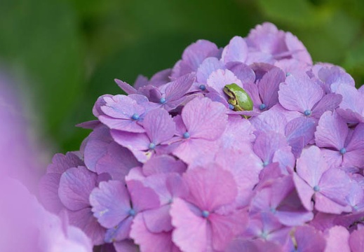201206271341-DSC00273.jpg