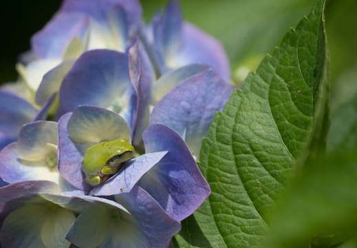 201206271344-DSC00280.jpg