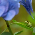 201206271519-DSC00421.jpg
