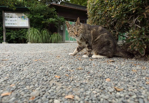 201206281205-DSC00686.jpg