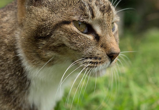 201206281209-DSC00691.jpg