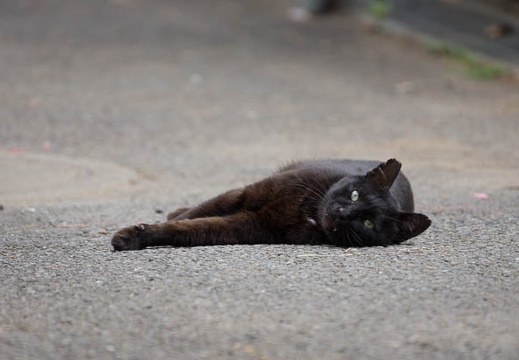 201206281241-DSC00760.jpg