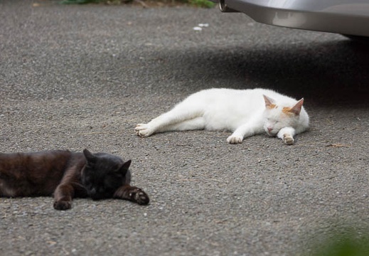 201206281243-DSC00768.jpg