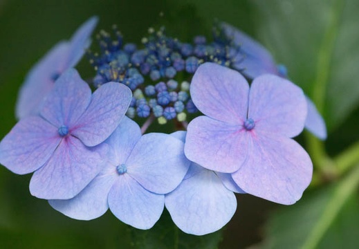 201206281245-DSC00776.jpg
