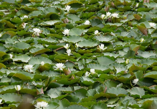 201206281302-DSC00803.jpg