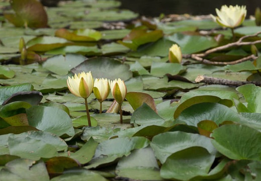 201206281325-DSC00864.jpg