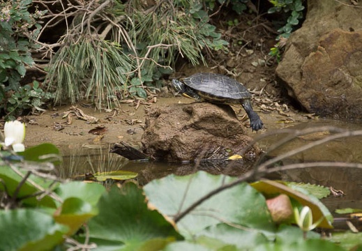 201206281344-DSC01017.jpg