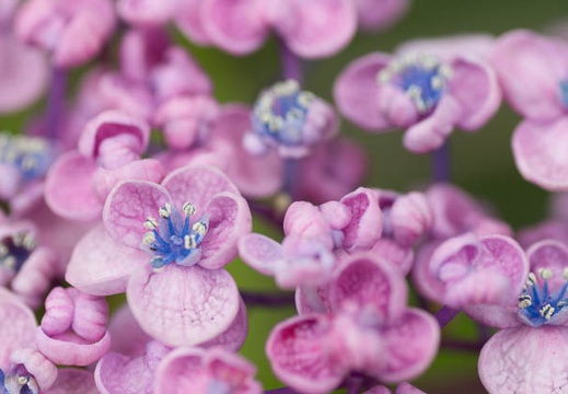 201207021332-DSC01270.jpg