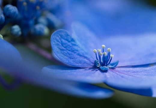 201207021344-DSC01348.jpg