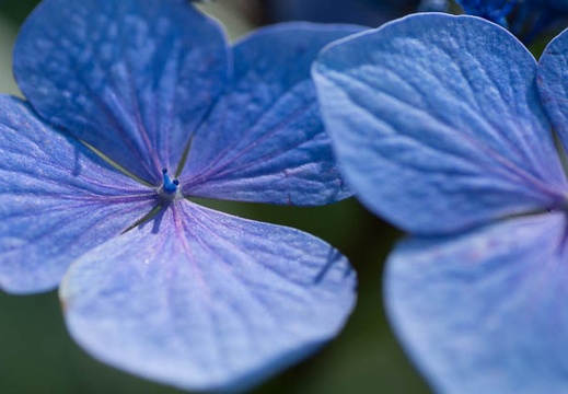 201207021345-DSC01355.jpg