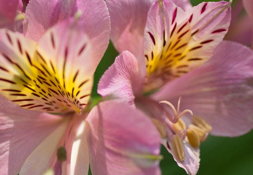 201207021348-DSC01371.jpg