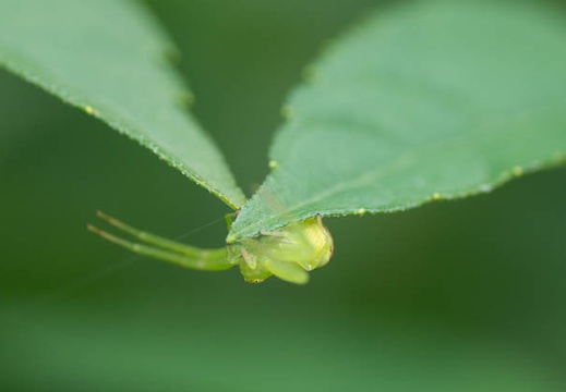 201207021351-DSC01381.jpg