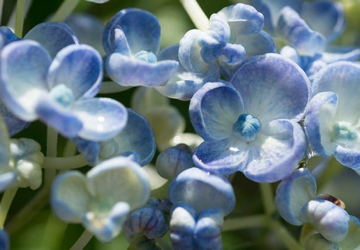 201207021355-DSC01394.jpg