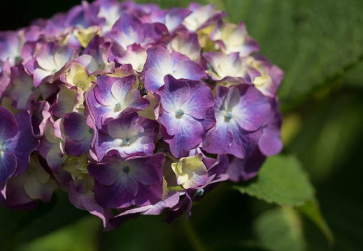 201207021359-DSC01405.jpg