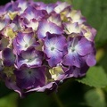 201207021359-DSC01405.jpg