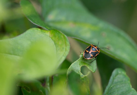 201207021407-DSC01412.jpg
