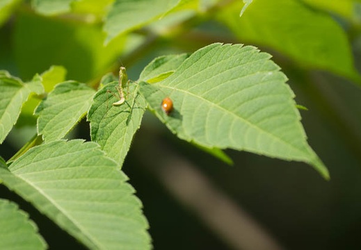 201207021410-DSC01422.jpg