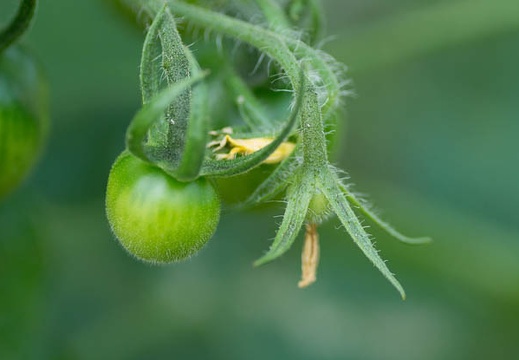 201207021418-DSC01451.jpg