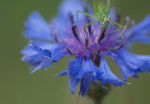 201207021426-DSC01479.jpg