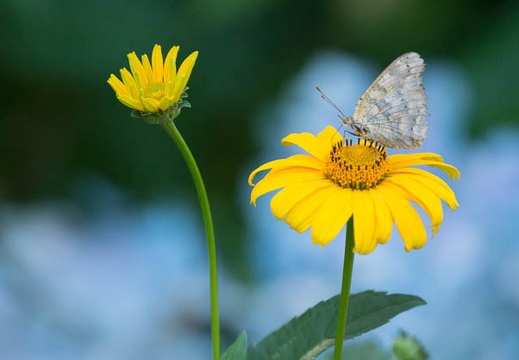 201207021454-DSC01603.jpg