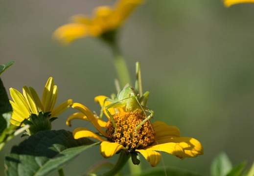 201207021514-DSC01687.jpg