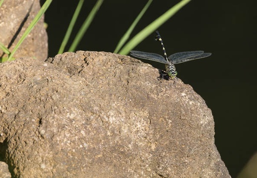 201207021538-DSC01709.jpg