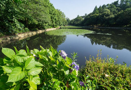 201207021540-DSC09316N.jpg