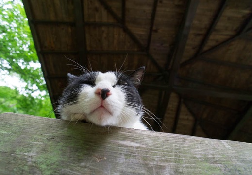 201207031252-DSC09366N.jpg