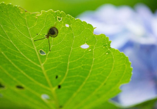 201207031304-DSC01867.jpg