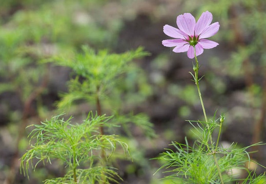 201207031414-DSC01942.jpg