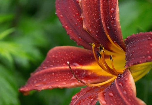 201207031417-DSC01953.jpg