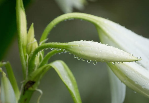 201207031421-DSC01956.jpg