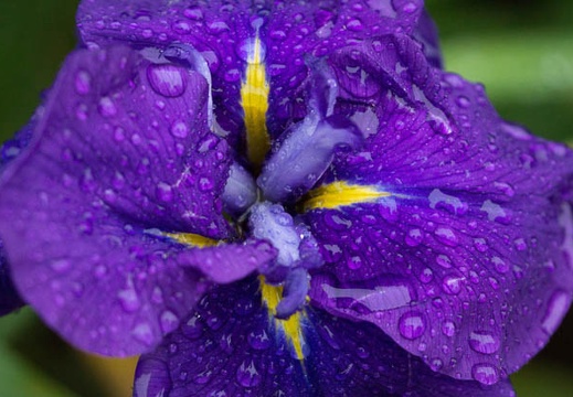 201207031426-DSC01980.jpg