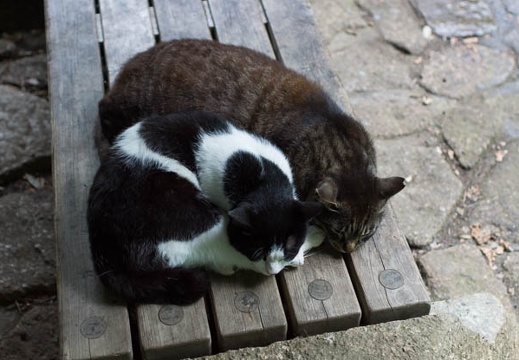 201207031442-DSC02004.jpg