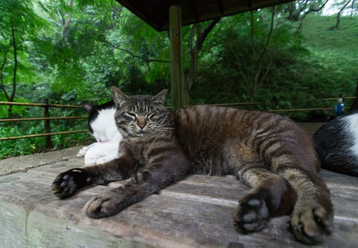 201207031458-DSC09409N.jpg