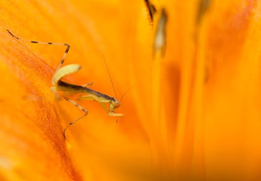 201207041223-DSC02256.jpg
