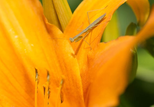 201207041226-DSC02270.jpg