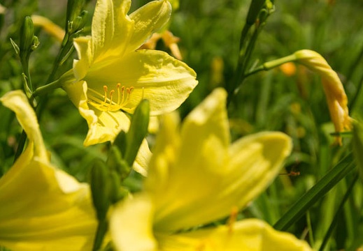201207041308-DSC02417.jpg