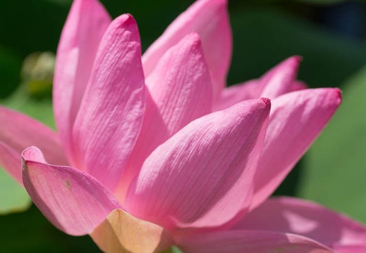 201207041323-DSC02477.jpg