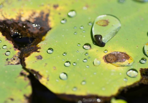 201207041326-DSC02488.jpg
