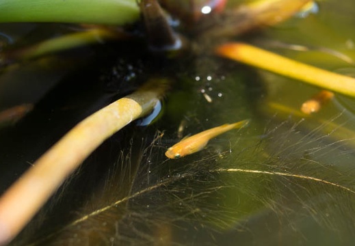 201207041357-DSC02569.jpg
