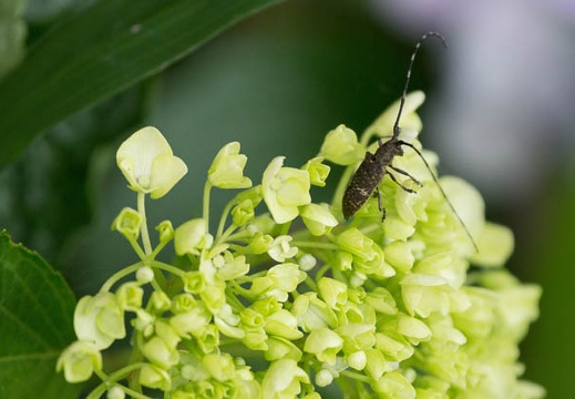 201207051334-DSC02987.jpg