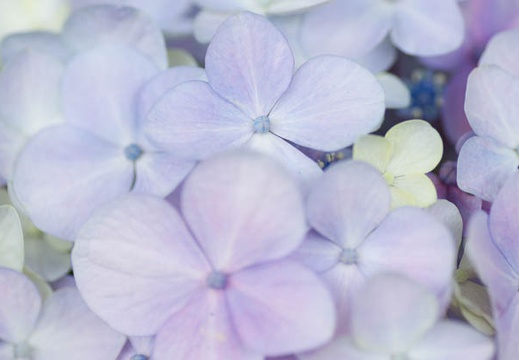 201207051336-DSC02998.jpg