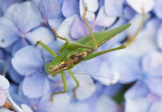 201207051345-DSC03050.jpg