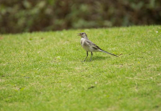 201207051403-DSC03120.jpg
