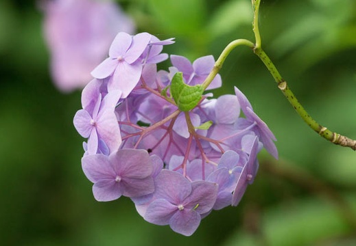 201207051410-DSC03132.jpg