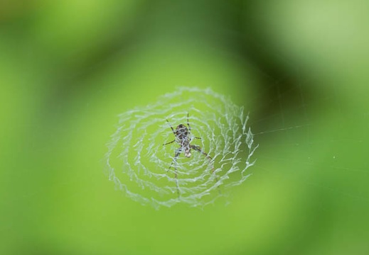 201207051454-DSC03251.jpg