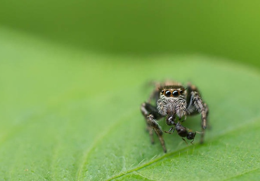 201207051458-DSC03256.jpg